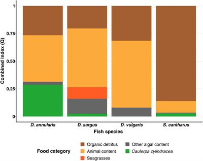 Herbivory on the Invasive Alga Caulerpa cylindracea: The Role of Omnivorous Fishes
